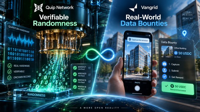 A promotional graphic for Quip Network and Vangrid, showcasing 'Verifiable Randomness' with quantum hardware features on the left and 'Real-World Data Bounties' with a mobile phone interface for capturing locations and earning 50 USDC on the right.