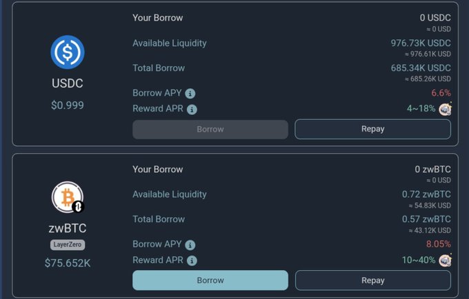 A dark-themed DeFi dashboard showing USDC and zwBTC (LayerZero) borrow positions with available liquidity, total borrow, APY rates (6.6% for USDC, 8.05% for zwBTC), and Borrow/Repay buttons.