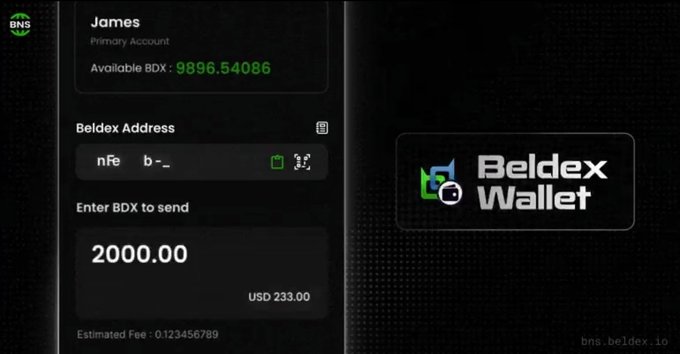 A screenshot of the "Beldex Wallet" interface showing a user named James with an available balance of 9896.54086 BDX and a send transaction for 2000.00 BDX (USD 233.00).