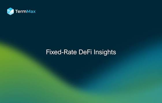 A dark blue and green graphic displays the 'TermMax' logo with the text 'Fixed-Rate DeFi Insights' in the center.