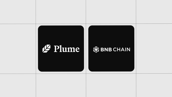 Two black rounded squares display the white logos of "Plume" and "BNB CHAIN," visually representing the integration of Plume Vaults with BNB Chain as mentioned in the announcement about nOPAL going live.