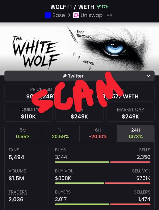 The image shows a trading dashboard for the WOLF/WETH token pair on Uniswap V4 (Base network), prominently stamped with a large red "SCAM" label across it. The post warns that the chart depicts a bundled scam coin using the solami method, contrasting its $249K market cap, 1,473% 24H pump, and 5,494 transactions with the official WOLF contract address (0x73AC2806C40AB4741ea7a35B7328ACA957755ba3) the author is promoting.