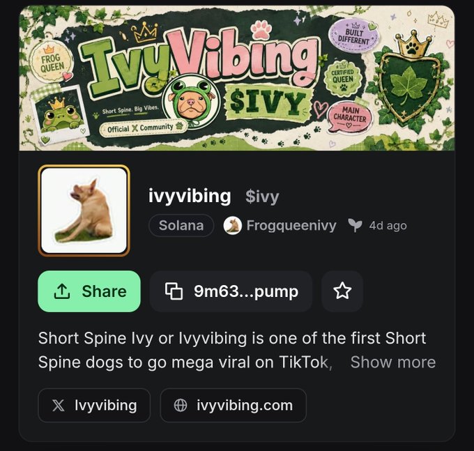 A profile card for "Ivyvibing $ivy" on Solana, featuring a tan dog character with a cactus-themed banner declaring it a "Certified Queen" and "Main Character," tied to the Frogqueenivy community and the pumpfun token 9m63...pump, matching the post's call to not fade the "$jimothy of dogs."