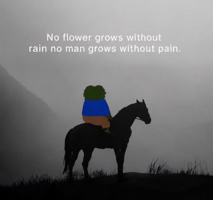 A silhouette of a person riding a horse against a foggy mountain landscape with the text 'No flower grows without rain no man grows without pain.'
