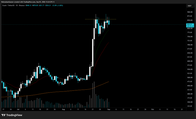 A TradingView daily chart for Zcash (ZEC/USDT on Binance, Sep 1, 2026) showing a sharp rally from ~$400 to a peak near $875 followed by a pullback to $824.21, forming a potential double-top pattern at the highs. The screenshot supports the post's concern about bearish daily price action despite the impressive longer-term weekly and monthly trend.