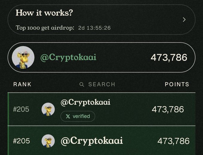 A Kaito leaderboard screen showing '@Cryptokaai' ranked #205 with 473,786 points, and a countdown for the Top 1000 airdrop at 2d 13:55:26.