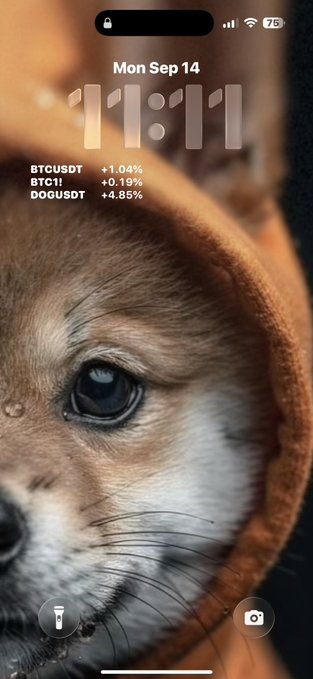 A smartphone lock screen featuring a close-up of a small dog in a hood, displaying the date 'Mon Sep 14', time 11:11, and crypto tickers BTCUSDST (+1.04%), BTC! (+0.19%), and DOGUSDST (+4.85%).