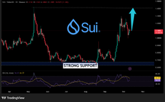 A financial chart from TradingView showing the price action of SUI cryptocurrency, with an annotation marking 'STRONG SUPPORT' and a blue upward arrow.