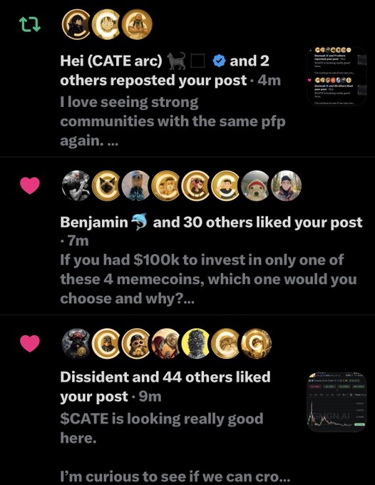 A social media screenshot showing post engagement from "Hei (CATE arc)," "Benjamin," and "Dissident," with 30 and 44 likes respectively, referencing the $CATE memecoin community and its growth potential. The interactions align with the caption's sentiment about $CATE's promising future and dedicated community.