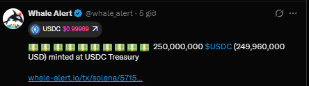 A tweet from Whale Alert (@whale_alert) showing 250,000,000 $USDC (249,960,000 USD) minted at USDC Treasury, with a link to whale-alert.io/tx/solana/... visible.