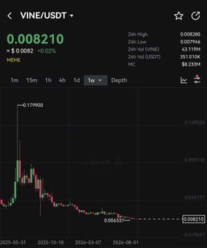 A cryptocurrency price chart for VINE/USDT on Binance shows the meme token trading at approximately $0.008210, down 0.02%, with a 24-hour high of $0.008280 and low of $0.007946, illustrating the low-priced volatile asset the post is recommending to buy and hold.