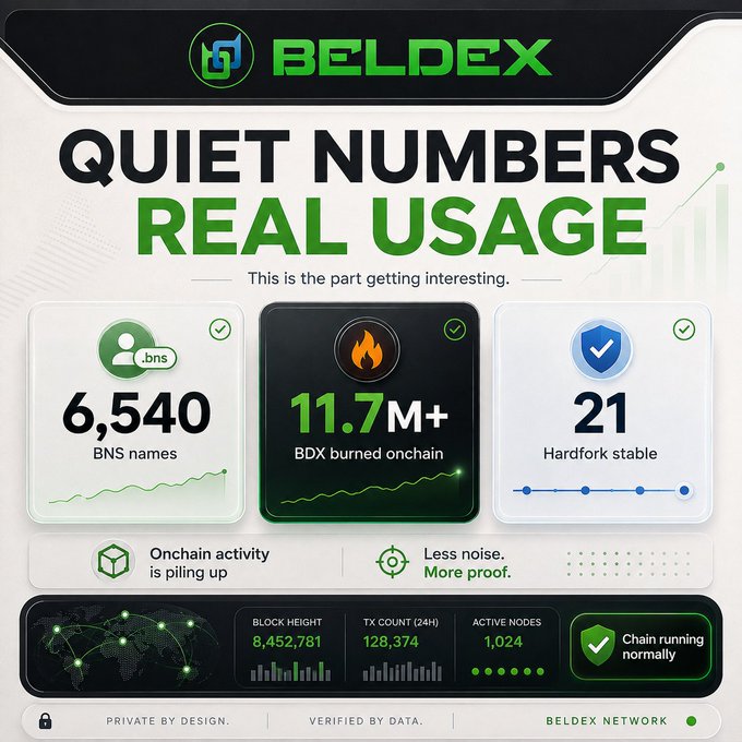 A Beldex infographic titled 'QUIET NUMBERS REAL USAGE' highlights 6,540 BNS names, 11.7M+ BDX burned onchain, 21 hardforks stable, with block height 8,452,761 and 128,374 transactions in 24H across 1,024 active nodes.