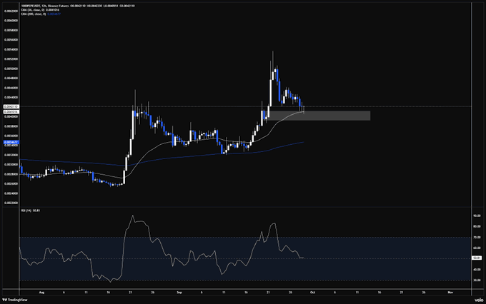 A TradingView candlestick chart for SHIB/USDT on Binance, showing price action from August to November with the RSI indicator below, marking a peak around late September.