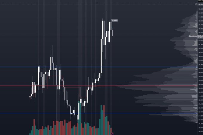 A candlestick chart displays price action with a highlighted "HYPE" peak around the 72.000 level, volume bars at the bottom, and horizontal support/resistance lines near 60.000 and 45.000, illustrating the $HYPE token's recent highs and suggesting a potential retest of lower volume gaps for a long entry setup.