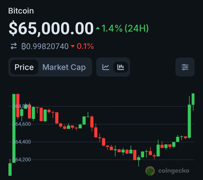 A CoinGecko price chart for Bitcoin showing a price of $65,000.00, up 1.4% in 24 hours, with candlestick data fluctuating between $64,200 and $64,800.