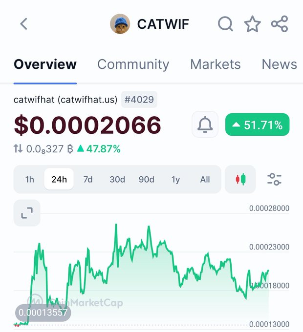A cryptocurrency price tracker screen for 'CATWIF' (catwifhat) token showing a price of $0.00002066 with a 51.71% gain, displaying a 24-hour price chart from CoinMarketCap.
