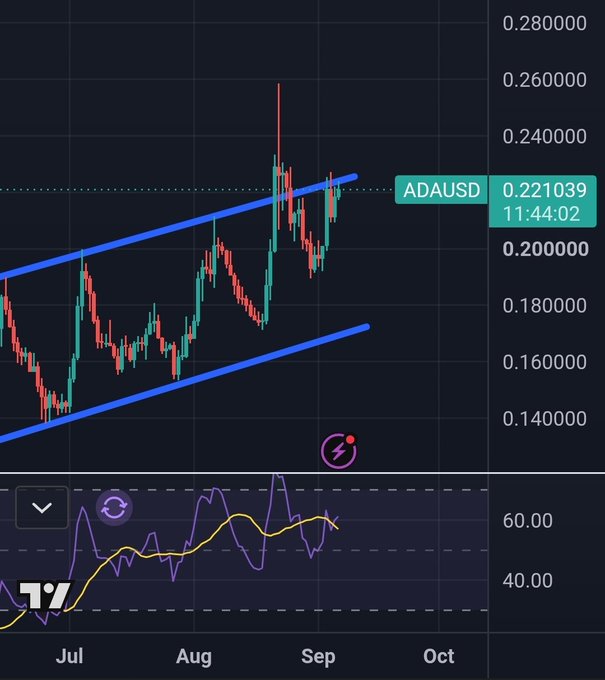A candlestick chart for the ADA/USD trading pair showing a price of 0.221039 at 11:44:02, with an ascending channel pattern drawn in blue and an RSI indicator below.
