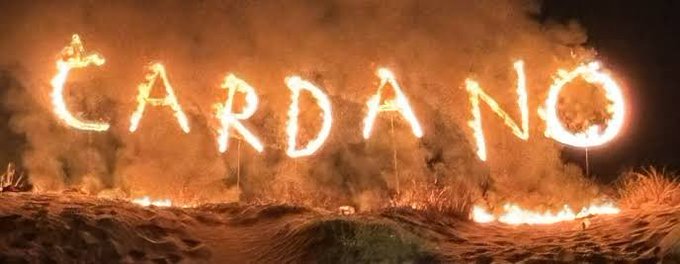 The word 'CARDANO' spelled out in flames on a nighttime beach.