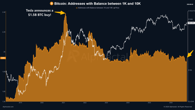 The image is a long-term Bitcoin chart from Alphractal showing the number of addresses holding 1,000-10,000 BTC (orange area) alongside BTC price (white line), with annotations marking Tesla's February 2021 announcement of a $1.5 billion BTC purchase—visually demonstrating how whale addresses holding mid-tier BTC balances sharply declined at that moment and have never recovered, despite price surging to new highs.