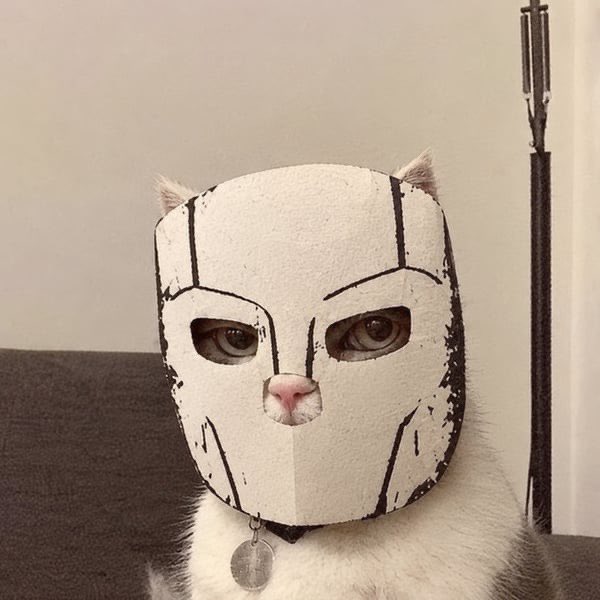 A white and black cat wearing a handcrafted white mask with black line designs resembling a face, with a tag on its collar.