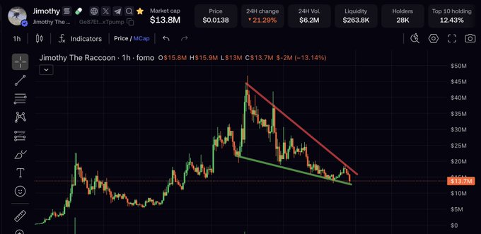 A 1-hour candlestick chart for $Jimothy ("Jimothy The Raccoon") showing a descending wedge pattern formed between a red upper trendline (around $25M-$30M market cap) and a green lower trendline (around $15M-$20M), with the current price at $13.7M market cap and a 24-hour decline of 21.29%.