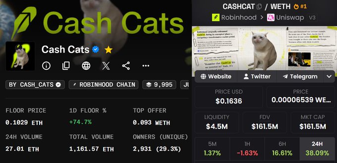 A screenshot of a cryptocurrency tracking page for 'Cash Cats' (CASH_CATS) showing a price of $0.1636 and market data.