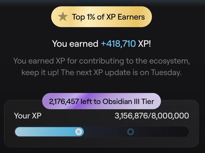 Gamification screen showing "Top 1% of XP Earners" with a reward of +418,710 XP, current XP at 3,156,876/8,000,000, and 2,176,457 XP remaining to reach Obsidian III Tier.
