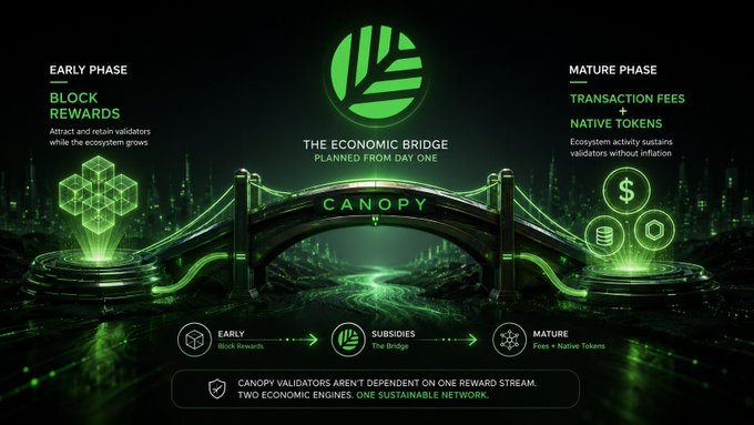 A promotional graphic for Canopy cryptocurrency explaining 'The Economic Bridge Planned From Day One,' contrasting the 'Early Phase' with 'Block Rewards' against the 'Mature Phase' with 'Transaction Fees + Native Tokens,' featuring a glowing green bridge graphic.
