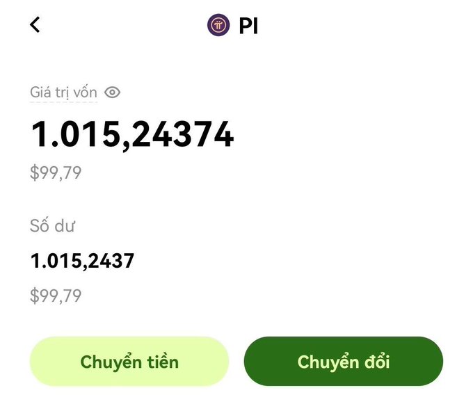 A cryptocurrency wallet screen displaying Pi (π) token with a balance value of 1,015,24374 (approximately $99.79) and two action buttons in Vietnamese: "Chuyển tiền" (Transfer) and "Chuyển đổi" (Convert).