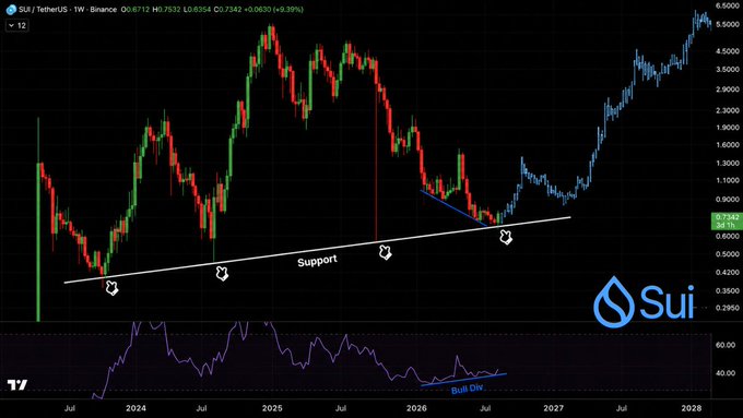 A TradingView candlestick chart for SUI/TetherUS on Binance showing a price of 0.7342, with technical analysis annotations including a 'Support' trendline and a 'BULL DIV' indicator on the RSI.