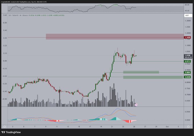 A TradingView candlestick chart of $SUI/USDT on Binance displays recent price action around $0.97 with a highlighted resistance zone near $1.19-$1.20, supporting the bullish forecast of reaching the $1.20 target.
