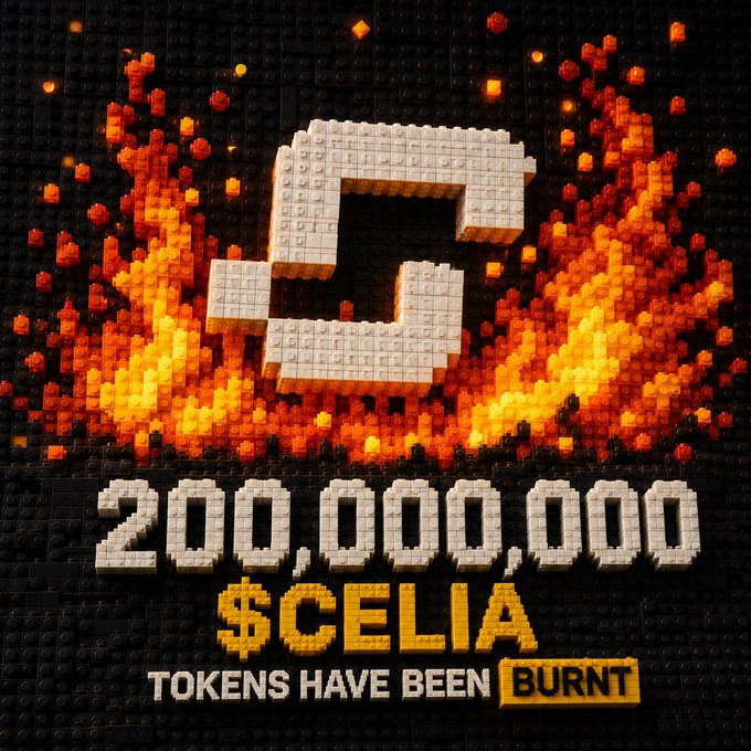 The image is a pixelated, LEGO-style graphic showing a burning letter "C" engulfed in flames, with the text "200,000,000 $CELIA TOKENS HAVE BEEN BURNT" displayed below—visually commemorating the 200 million $CELIA token burn referenced in the post.