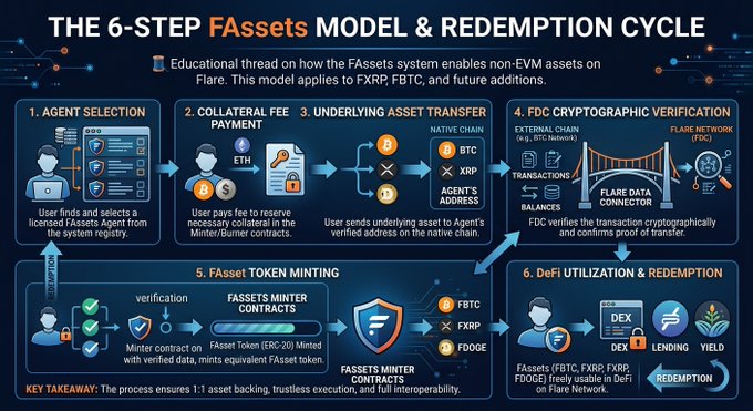 An educational infographic titled 'THE 6-STEP FAssets MODEL & REDEMPTION CYCLE' explaining how FAssets enable non-EVM assets on Flare, detailing steps from Agent Selection through to DeFi Utilization & Redemption.