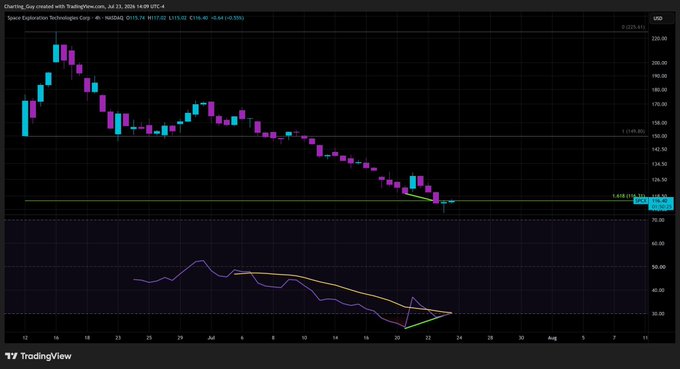 A TradingView candlestick chart for Space Exploration Technologies Corp showing a stock price decline from approximately $260 to $100, dated July 22, 2024.