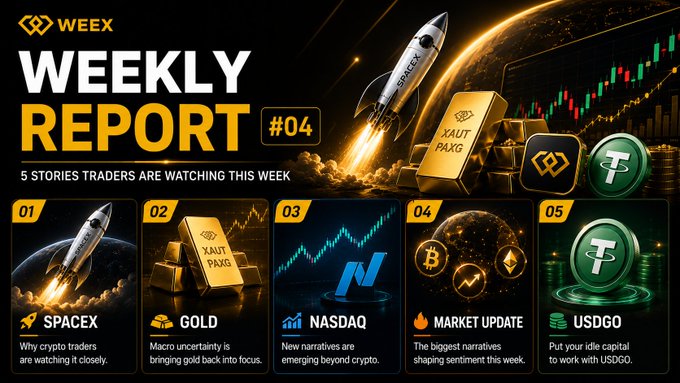 The image shows a poster for the Weekly Report at Weex, featuring five different crypto-related news bulletins. The first bulletin reads "WEEX Weekly Report #04 1. SpaceX Is More Than an IPO Story Why crypto traders are watching it closely." Meanwhile, the other bulletins read "THE NEXT BIG MAC," "Gold Volatility Is Back Macro uncertainty is bringing gold back into focus," and "Missed SpaceX?". These bulletins provide updates on various cryptocurrency news stories that have recently occurred.
