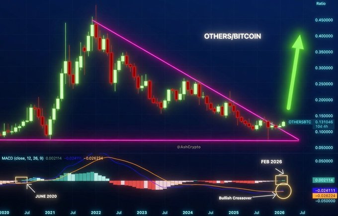 A crypto chart displays the OTHERS/BTC ratio on TradingView, showing a descending pink wedge pattern breaking upward around February 2026 with a bullish MACD crossover, illustrating the imminent altseason and projected capital rotation into altcoins referenced in the post.