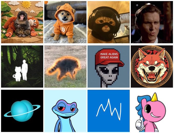 A 3x4 grid collage featuring various meme characters—including a doge in an orange hoodie, a cat with sunglasses and headphones, an ape, a pixelated figure wearing a "Make Aliens Great Again" hat, and a unicorn—alongside Elon Musk and a Saturn ring emoji, representing different memecoin communities competing for the loudest, most active following. The image directly illustrates the post's point about how memecoin success depends on which community shows up most actively, with each character symbolizing a different project vying for dominance.