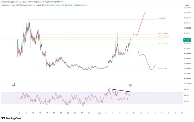 A TradingView chart of CASH/USDT Tether Perpetual Futures on MEXC showing price action with a hand-drawn pink projection line indicating potential upward movement, with RSI indicator below showing bearish divergence.