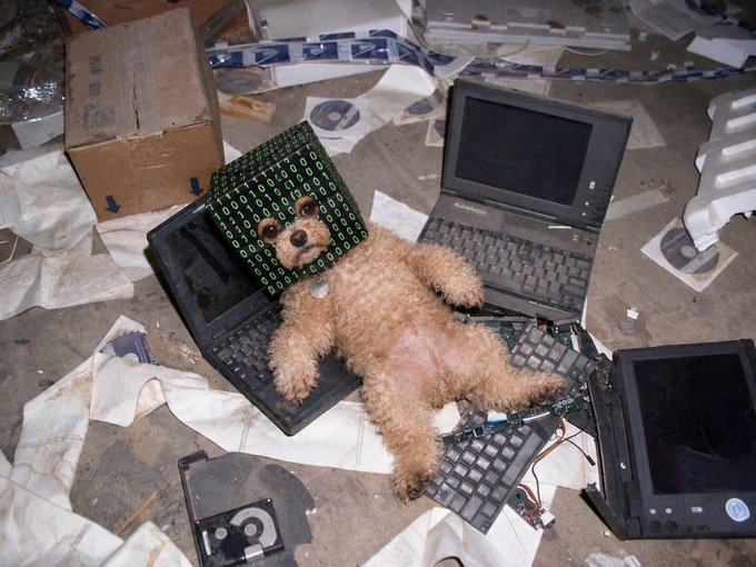 A small brown dog lies on its back among discarded old computers, keyboards, and electronic waste, wearing a green digital-patterned cloth over its head.