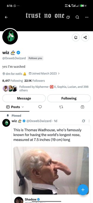 A Twitter/X profile screenshot for user 'wiz' (@0xweb3wizard) featuring the bio 'yes I'm washed' and a pinned post about Thomas Wadhouse having the world's longest nose measured at 7.5 inches.