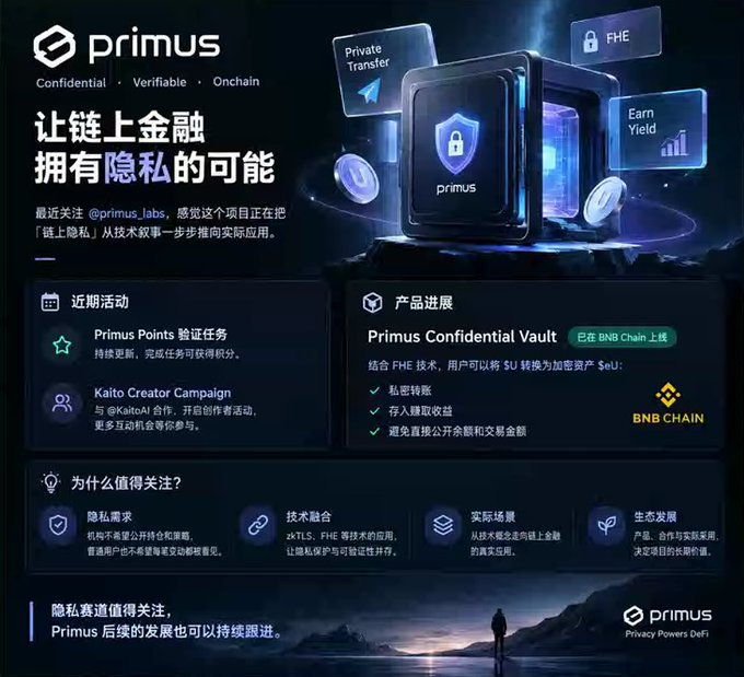Promotional graphic for the 'primus' privacy DeFi project with Chinese text reading '让链上金融拥有隐私的可能' (Make on-chain finance have privacy), highlighting Primus Confidential Vault on BNB Chain with FHE technology.