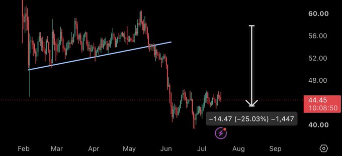 A candlestick chart shows Litecoin ($LTC) plummeting from above $58 in February to $44.45 (a 25.03% drop of -14.47) by late July/early August, validating the poster's bearish warning about large-cap crypto coins during a market downturn. A white arrow emphasizes the steep decline, illustrating the price action referenced in the cautionary post about avoiding large-cap trades in favor of lower-cap altcoins with higher multiplier potential.