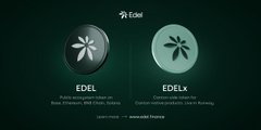 A blurry, mirrored image on a dark green background showing two coin-like circles with fan or propeller designs, each with the word 'FLEX' below.