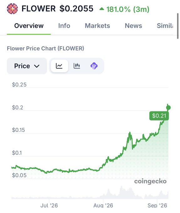 A CoinGecko price chart for the FLOWER token shows a current price of $0.2055 with a 181.0% gain over 3 months, displaying a strong upward trend from July to September 2026.
