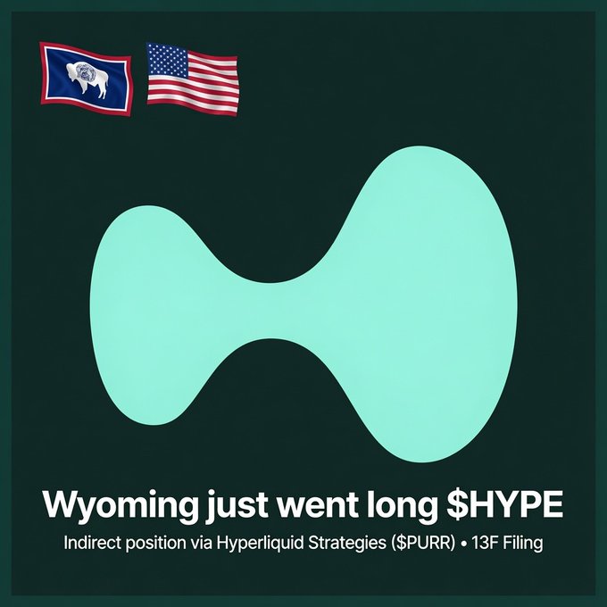 A graphic featuring a turquoise Hyperliquid logo on a dark background, with flags of Wyoming and the USA at the top, and text reading 'Wyoming just went long $HYPE' and 'Indirect position via Hyperliquid Strategies ($PURR) • 13F Filing'.