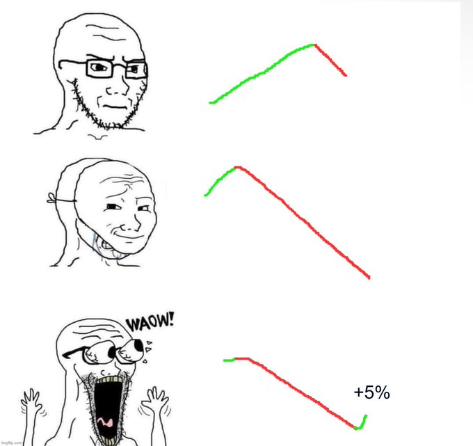 A Wojak-style meme showing three reaction faces—a calm Wojak with glasses, a smiling masked Wojak, and an excited screaming "WAOW!" Wojak—paired with progressively declining line charts in green (rises) and red (falls), ending with "+5%" at the bottom. The image humorously relates to the post's commentary on Starknet ($STRK), suggesting that even after a significant downward trend, the small +5% rebound has the community hyped.