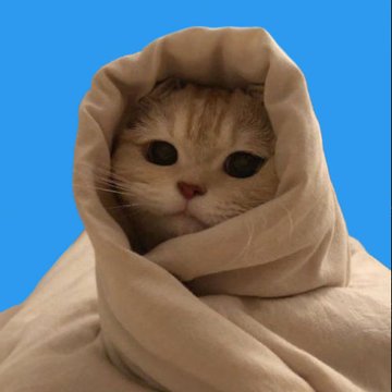 The image features a cat wrapped up in a blanket, with its eyes looking directly at the camera. The background is blue, which contrasts nicely with the white fur of the cat. The caption reads "Good Morning GM on USDC. I’ve been holding GM for over a year. I watched it run to 10M on pump, round tripped 250K, and I still never left. Why? Because everyone still says GM every single day. GM is not just a meme. It is the first message of the day. The easy thing for".