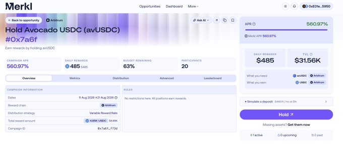 A Merkl opportunities page displays the "Hold Avocado USDC (avUSDC)" campaign with 560.97% APR and $485 daily rewards. The right panel lists avUSDC and Arbitrum under "What you need" and "What you earn," matching the post's reference to an undercollateralized lending opportunity on Merkl and Avocado.
