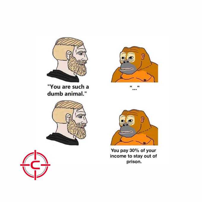 The image features two cartoon illustrations of humans and a monkey, placed side by side against a white background. A caption below the pictures includes text that says "You are such a dumb animal... you pay 30% of your income to stay out of prison". The caption seems unrelated or misplaced in this context but can be interpreted as an unusual or humorous statement. The rest of the image focuses on these cartoon illustrations, with no further details about them or their relationship to the posted content.