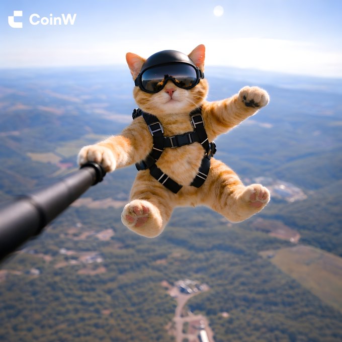 An orange tabby kitten wearing black ski goggles and a harness takes a selfie mid-air with a selfie stick while skydiving, with "CoinW" logo visible in the top left corner. The image playfully illustrates "GM" (Good Morning) with the adventurous cat soaring above a landscape to greet the day.